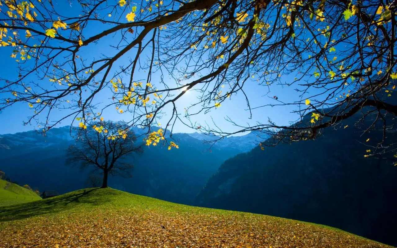 智能高端智能